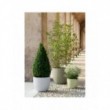 Vaso Etria cm 24 Diam x 20 H Resina Lt. 5 con Doppia Parete