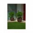 Vaso Etria cm 24 Diam x 20 H Resina Lt. 5 con Doppia Parete