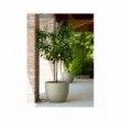 Vaso Etria cm 64 Diam x 52 H Resina Lt. 86 con Doppia Parete