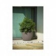 Vaso Etria cm 64 Diam x 52 H Resina Lt. 86 con Doppia Parete