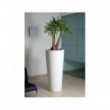 Vaso Ilie cm 47 Diam x 98 H Resina Lt. 26