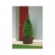 Vaso Akan cm 40 x 40 x 33 H Resina Lt. 25