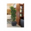 Vaso Akan cm 40 x 40 x 33 H Resina Lt. 25