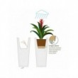 Vaso Ilie Laccato ø 42 (cm.42 x 90 H.) Lt 19
