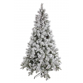 Albero Pusteria varie misure