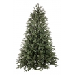 Albero Lucania H150 -1777 Rami