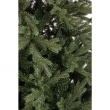 Albero Lucania H150 -1777 Rami