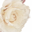 PICK ROSA CREMA