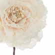 PICK ROSA FUNNY CREMA L