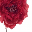 PICK ROSA FUNNY ROSSO S
