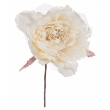 PICK ROSA FUNNY CREMA S