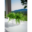 mini kube cassetta cm.50 x 18 x 18 h 9 lt